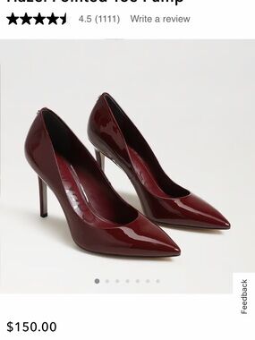 Sam Edelman NWT Pointed-Toe Stiletto Pump